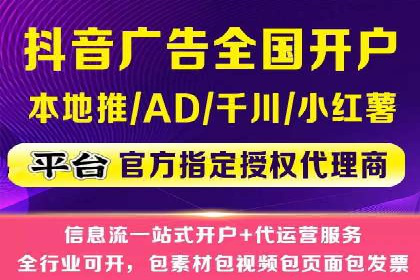 某某SEM团队成功案例：广告投放策略揭秘